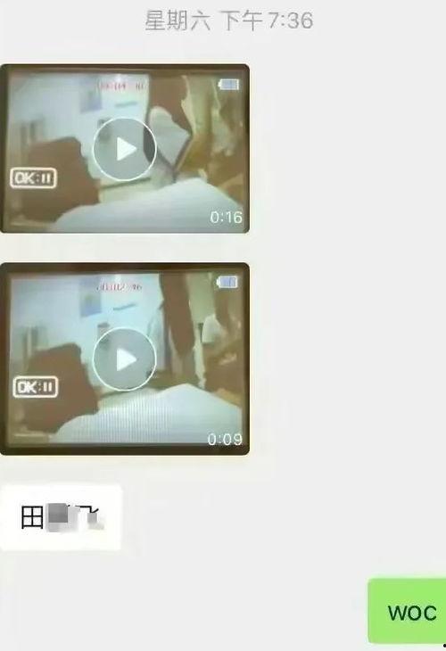 衡水爆料最新视频,揭秘惊人真相,引发社会热议!
