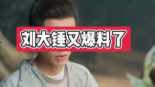 刘大锤爆料榜单最新图片,榜单风云再起,揭秘热门话题背后的秘密